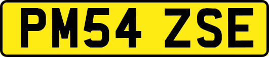 PM54ZSE