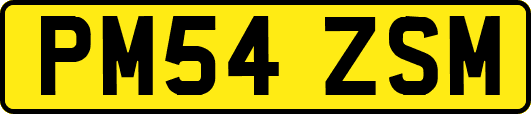 PM54ZSM