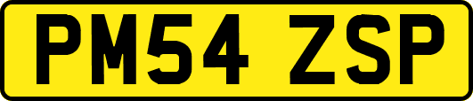 PM54ZSP