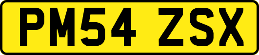 PM54ZSX