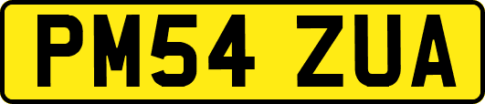 PM54ZUA