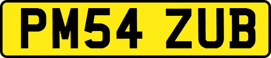 PM54ZUB