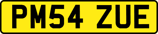PM54ZUE