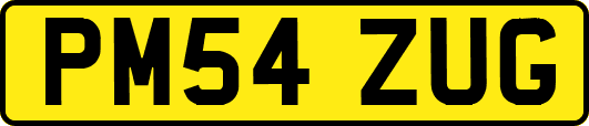 PM54ZUG
