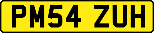 PM54ZUH