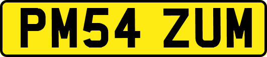 PM54ZUM