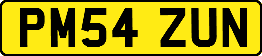 PM54ZUN
