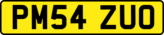 PM54ZUO