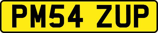 PM54ZUP
