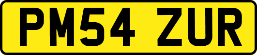 PM54ZUR