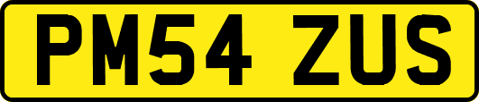 PM54ZUS