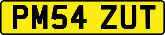 PM54ZUT
