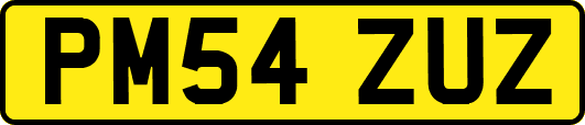 PM54ZUZ