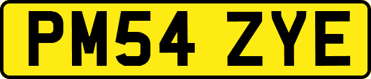 PM54ZYE