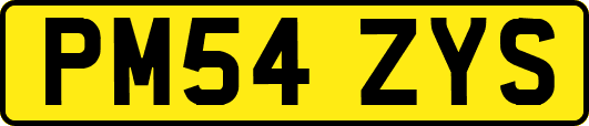 PM54ZYS
