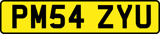 PM54ZYU