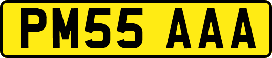PM55AAA