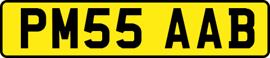 PM55AAB