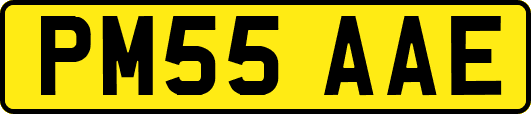 PM55AAE