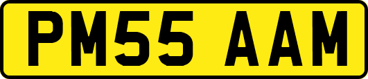 PM55AAM