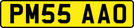 PM55AAO