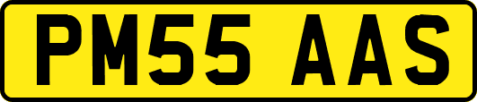 PM55AAS