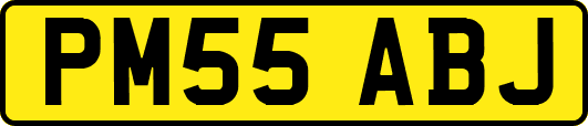 PM55ABJ