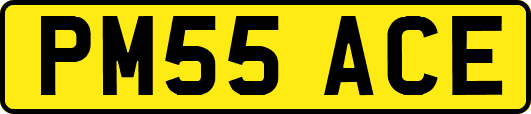 PM55ACE