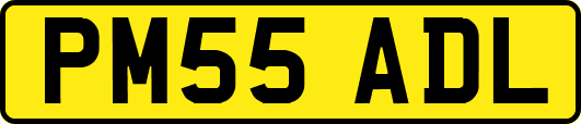 PM55ADL