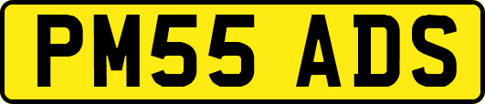 PM55ADS