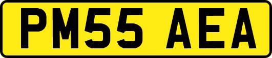 PM55AEA