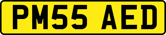 PM55AED