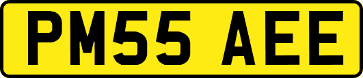 PM55AEE
