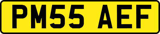 PM55AEF