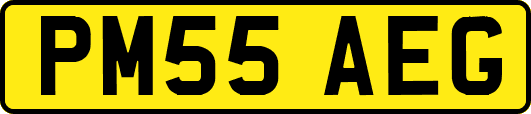PM55AEG