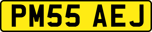 PM55AEJ