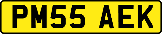 PM55AEK