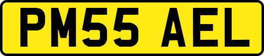 PM55AEL