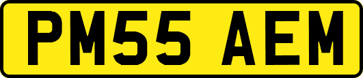 PM55AEM