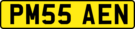 PM55AEN