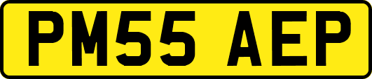 PM55AEP