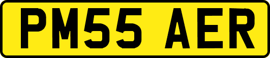 PM55AER