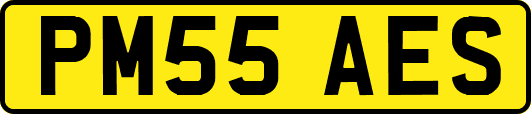 PM55AES