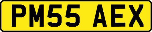 PM55AEX