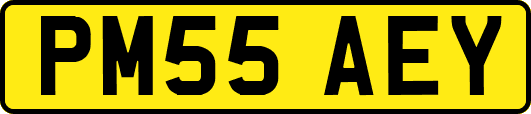 PM55AEY