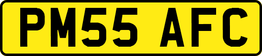 PM55AFC