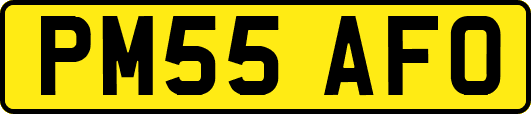 PM55AFO