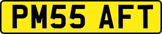 PM55AFT