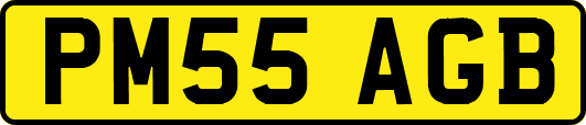 PM55AGB