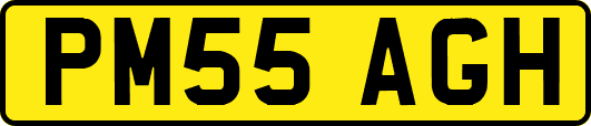 PM55AGH